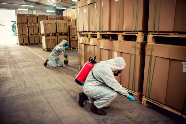 Best Exterminator Services  in Williston, SC