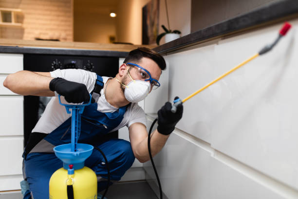 Best Pest Control Near Me  in Williston, SC