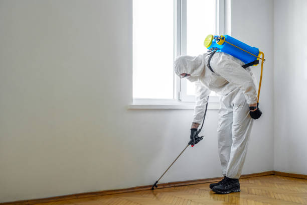Best Pest Prevention Services  in Williston, SC