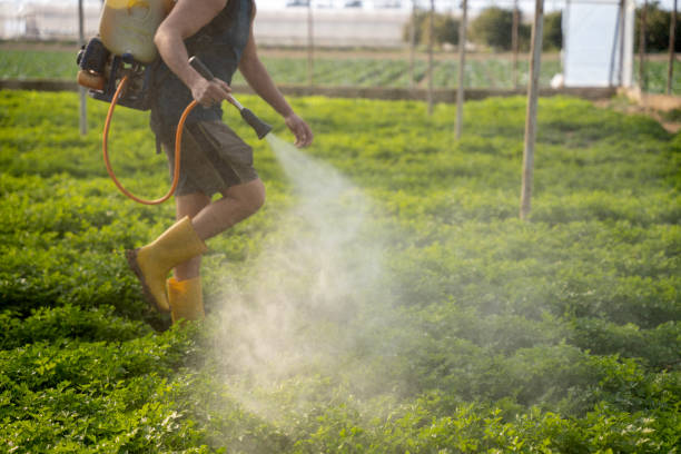 Best Exterminator Services  in Williston, SC
