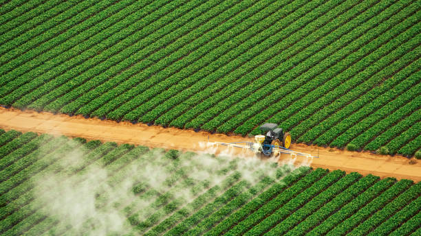 Best Commercial Pest Control Services  in Williston, SC