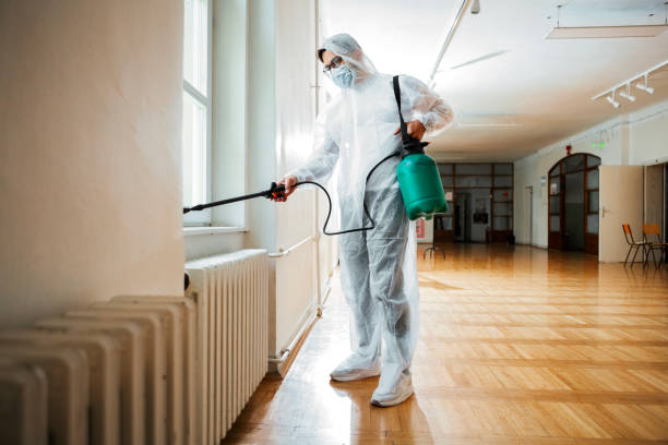 Wasp Removal Services in Williston, SC