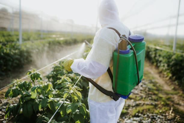 Best Local Pest Control Services  in Williston, SC